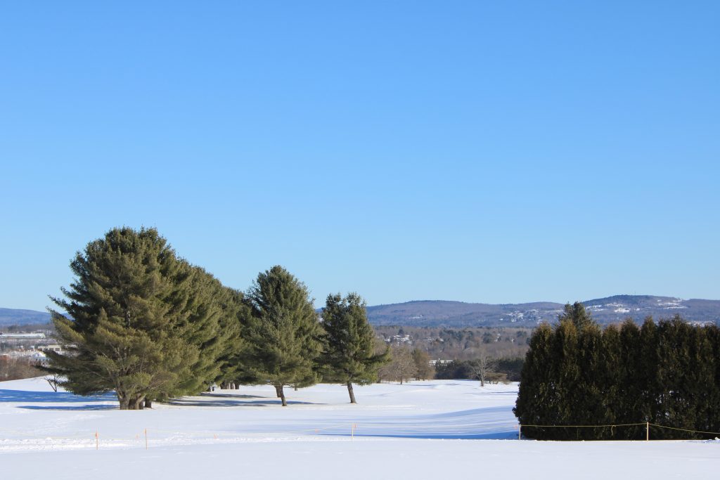 image of golf course in winter
